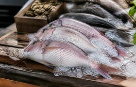 Уральская рыба пошла на экспорт: шесть тонн уех...